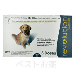 レボリューション大型犬用（Revolution Dog (Large) ）